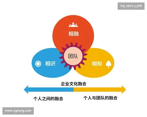 如何通过合理搭配新角色技能与装备提升战斗效果与团队协作能力 如何通过合理搭配新角色技能与装备提升战斗效果与团队协作能力