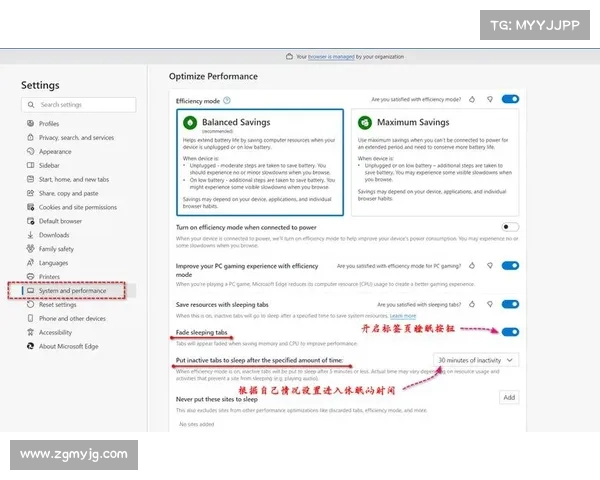 火狐浏览器十大实用功能与隐藏技巧全面解析助你高效上网