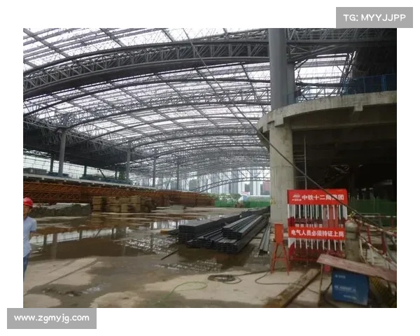 建业足球俱乐部的性质与功能分析：体育文化、经济效益与社会责任三重作用