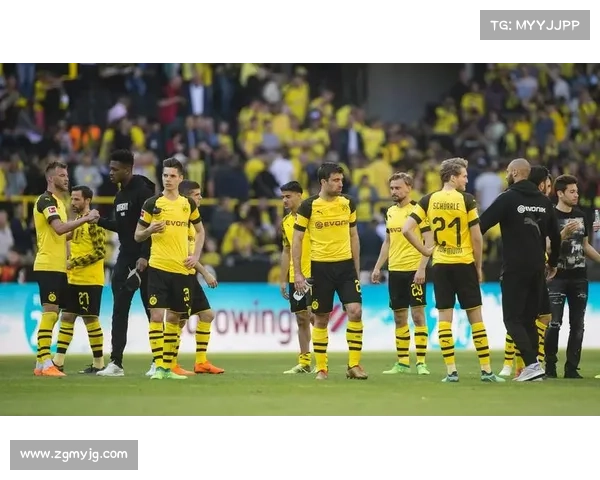 全景深度解析欧冠五大赛事级别的构成特点与历史演变脉络探秘